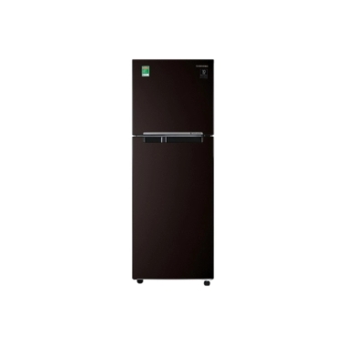 Tủ lạnh Samsung Inverter 236 lít RT22M4032BY/SV