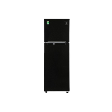 Tủ lạnh Samsung Inverter 256 lít RT25M4032BU/SV